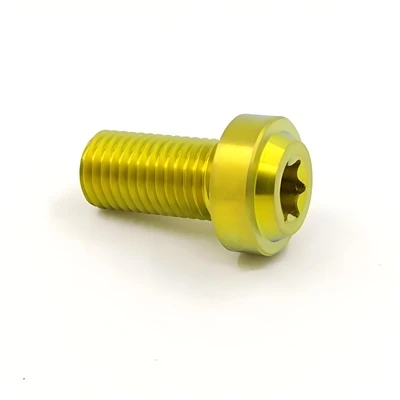 Titanium Torx Screw‌